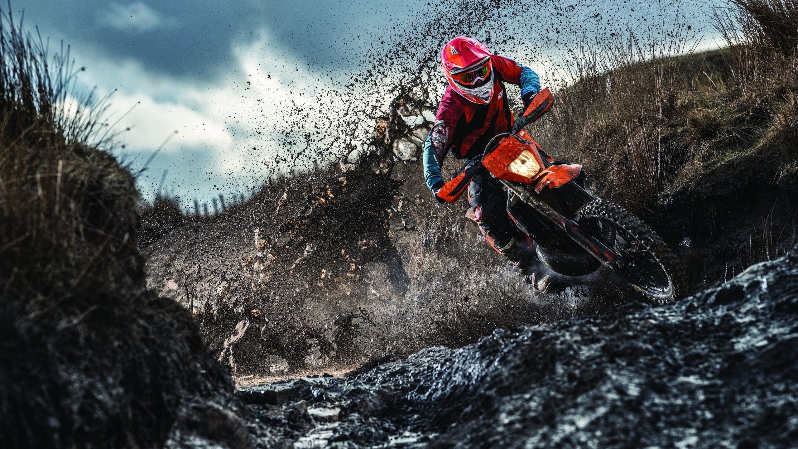 浓眉轰40+20打碎质疑,开拓者青年军掀翻东部豪强